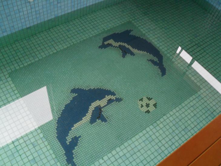 Bể bơi gia đình anh Triều Phú Xuyên - Thiết Bị Bể Bơi Tân Thiên - Công Ty Cổ Phần Xây Lắp Và Thương Mại Tân Thiên